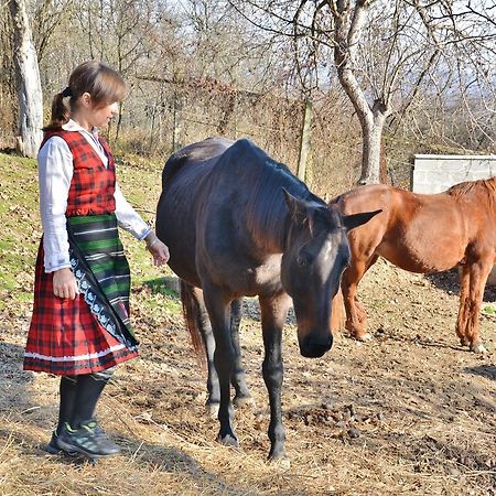 Ecopark Elena Hotel Екстериор снимка