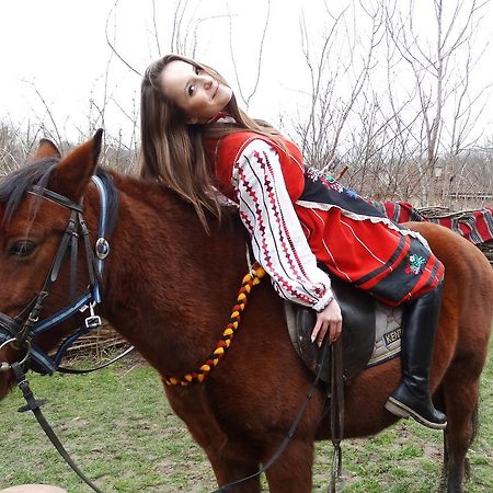 Ecopark Elena Hotel Екстериор снимка