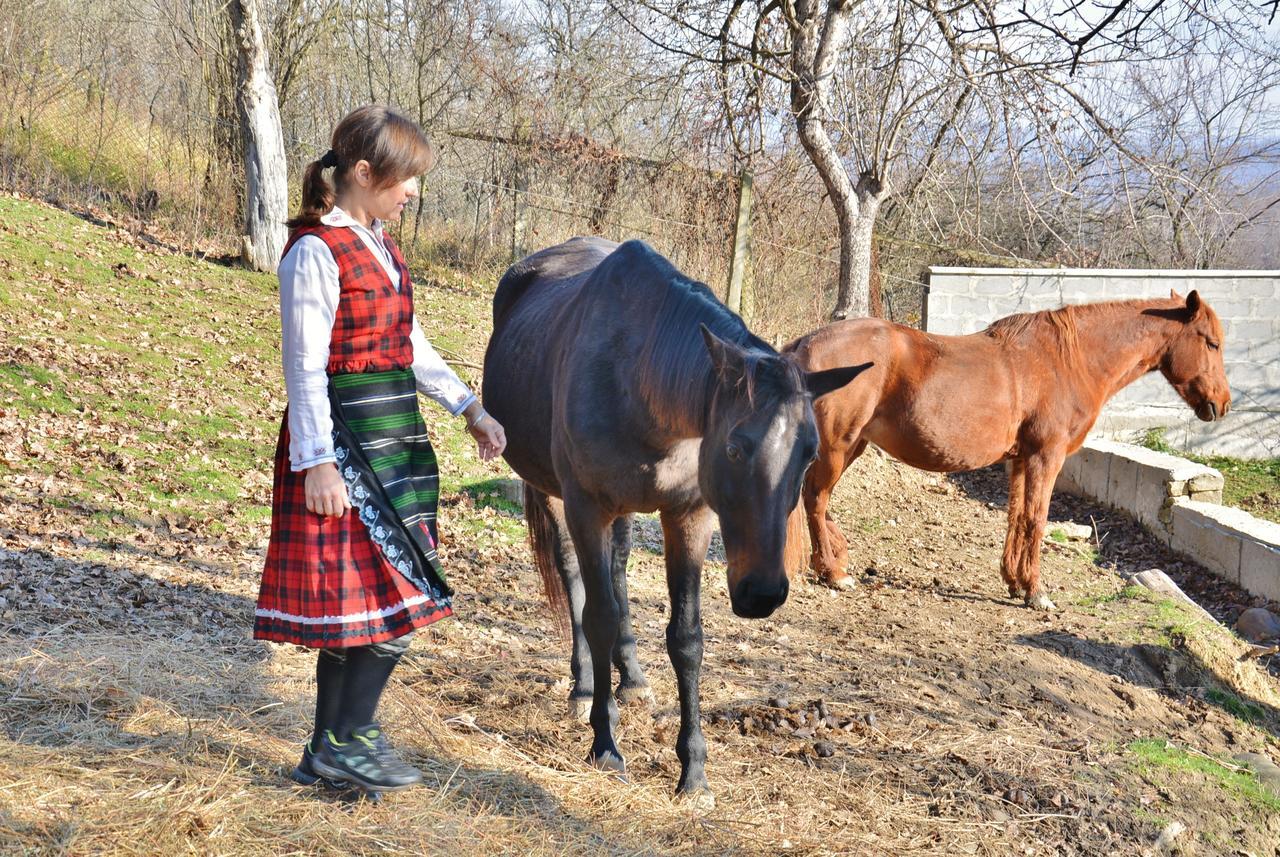 Ecopark Elena Hotel Екстериор снимка