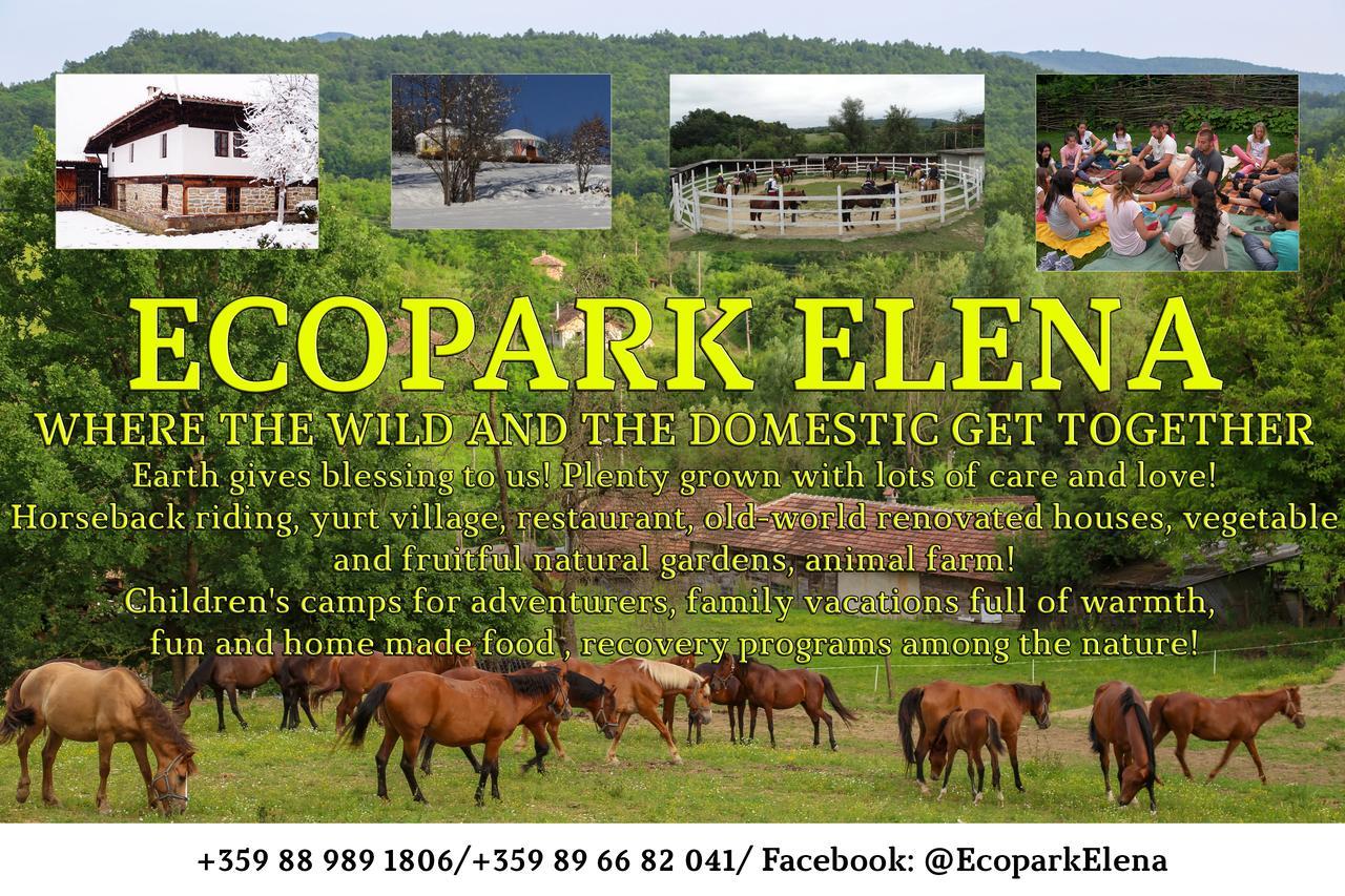 Ecopark Elena Hotel Екстериор снимка
