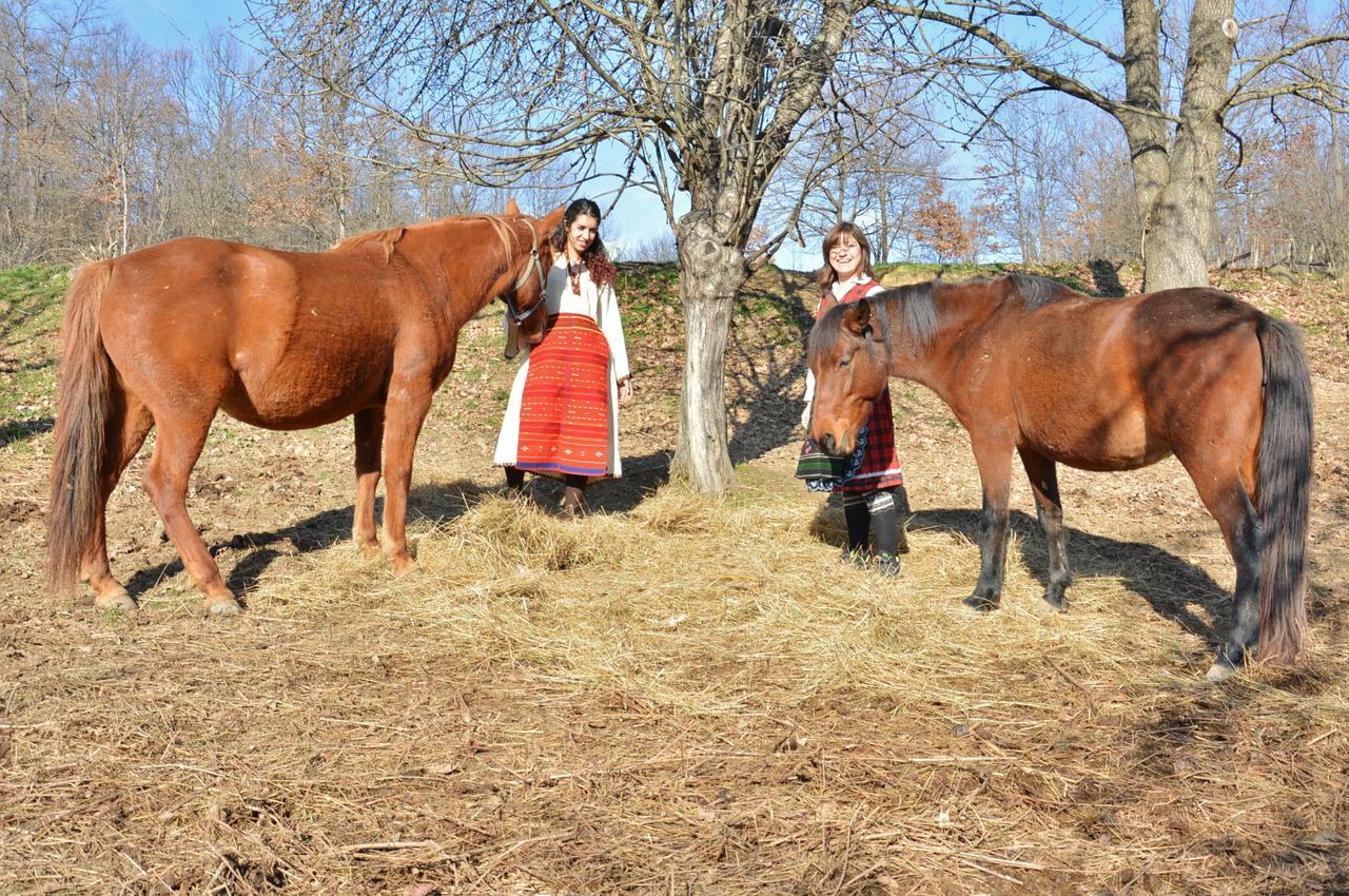 Ecopark Elena Hotel Екстериор снимка