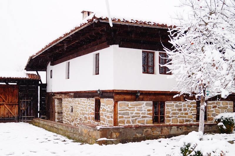Ecopark Elena Hotel Екстериор снимка