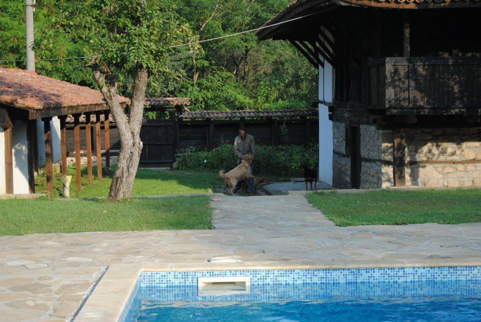 Ecopark Elena Hotel Екстериор снимка