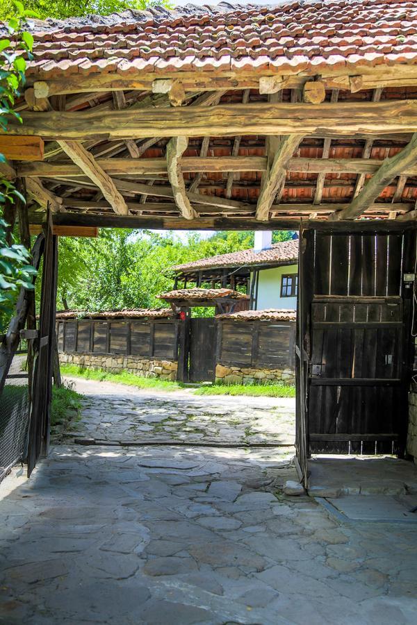 Ecopark Elena Hotel Екстериор снимка