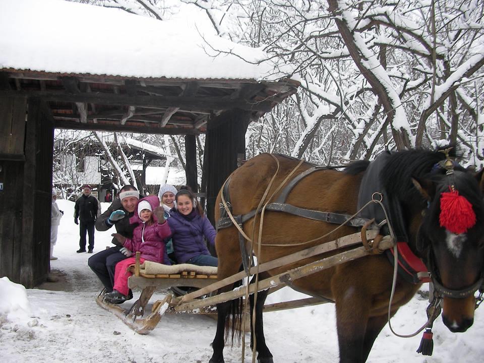 Ecopark Elena Hotel Екстериор снимка
