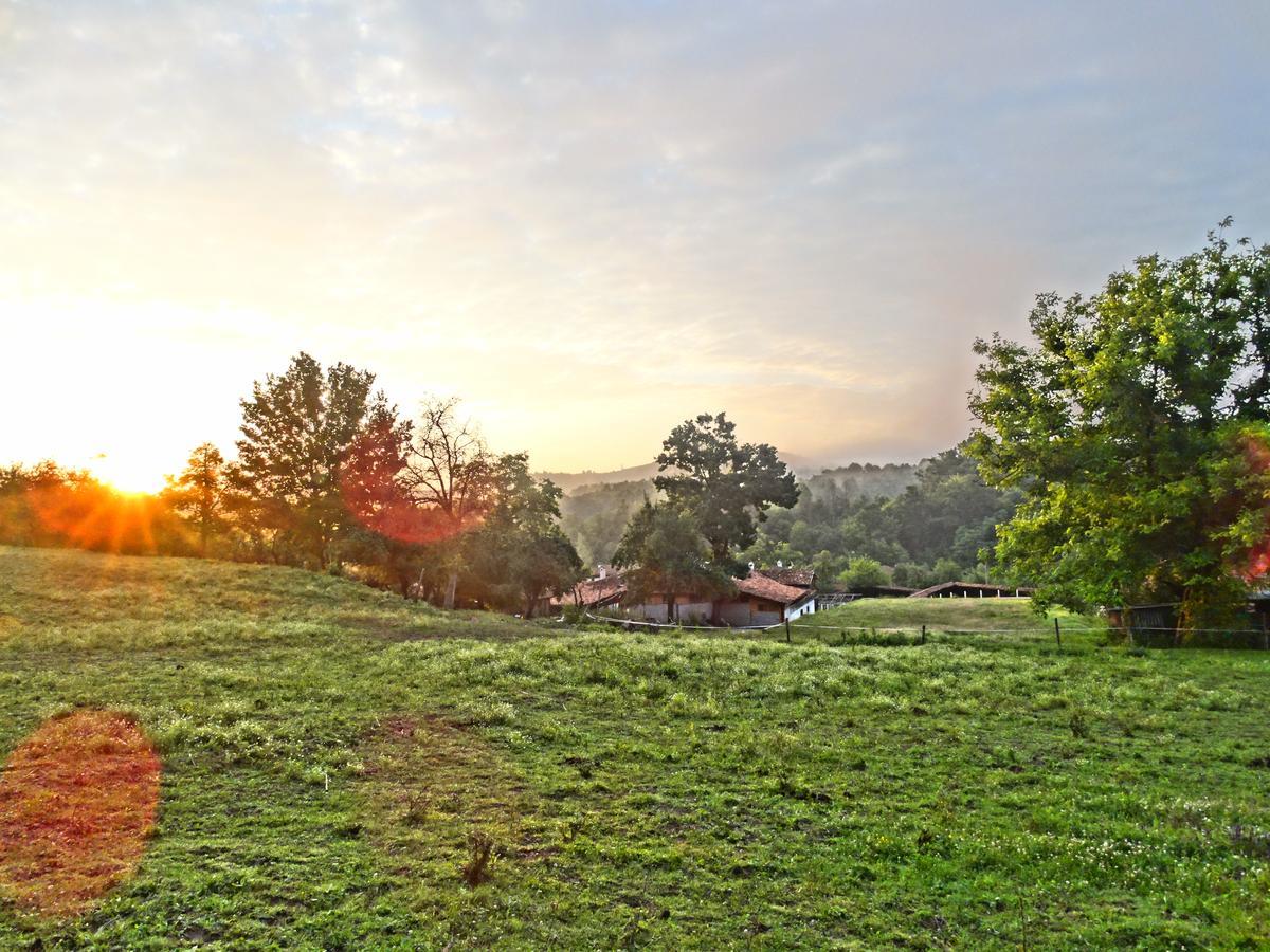 Ecopark Elena Hotel Екстериор снимка