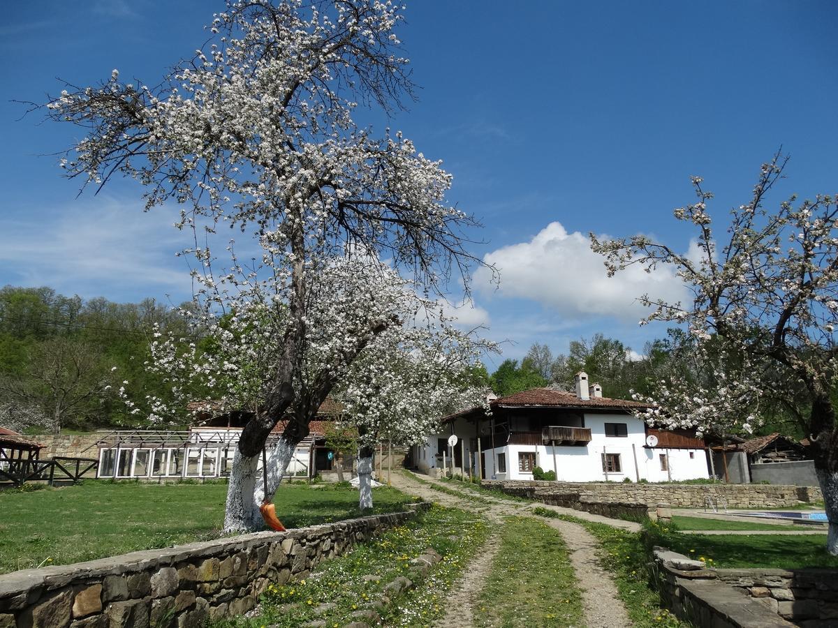 Ecopark Elena Hotel Екстериор снимка
