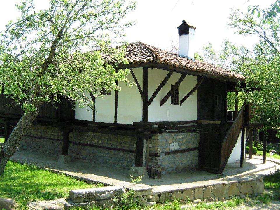 Ecopark Elena Hotel Екстериор снимка