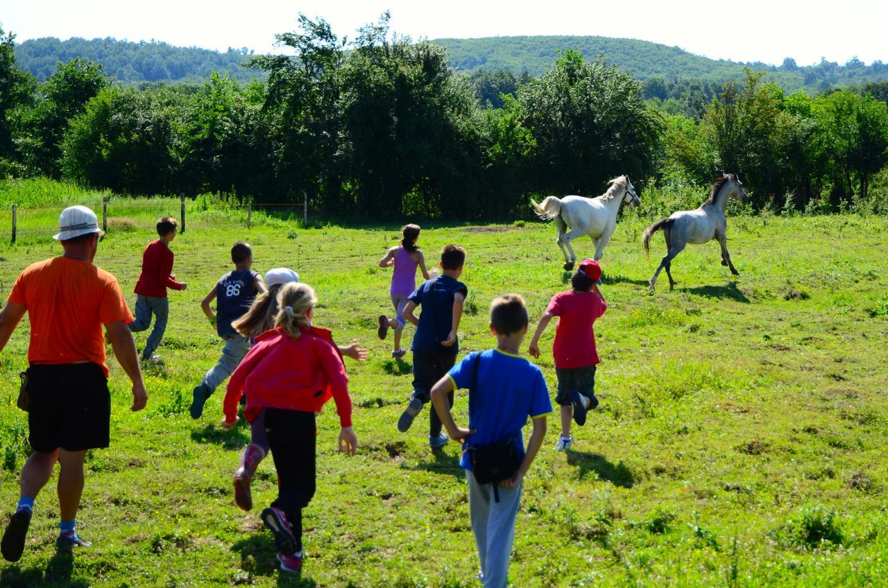 Ecopark Elena Hotel Екстериор снимка