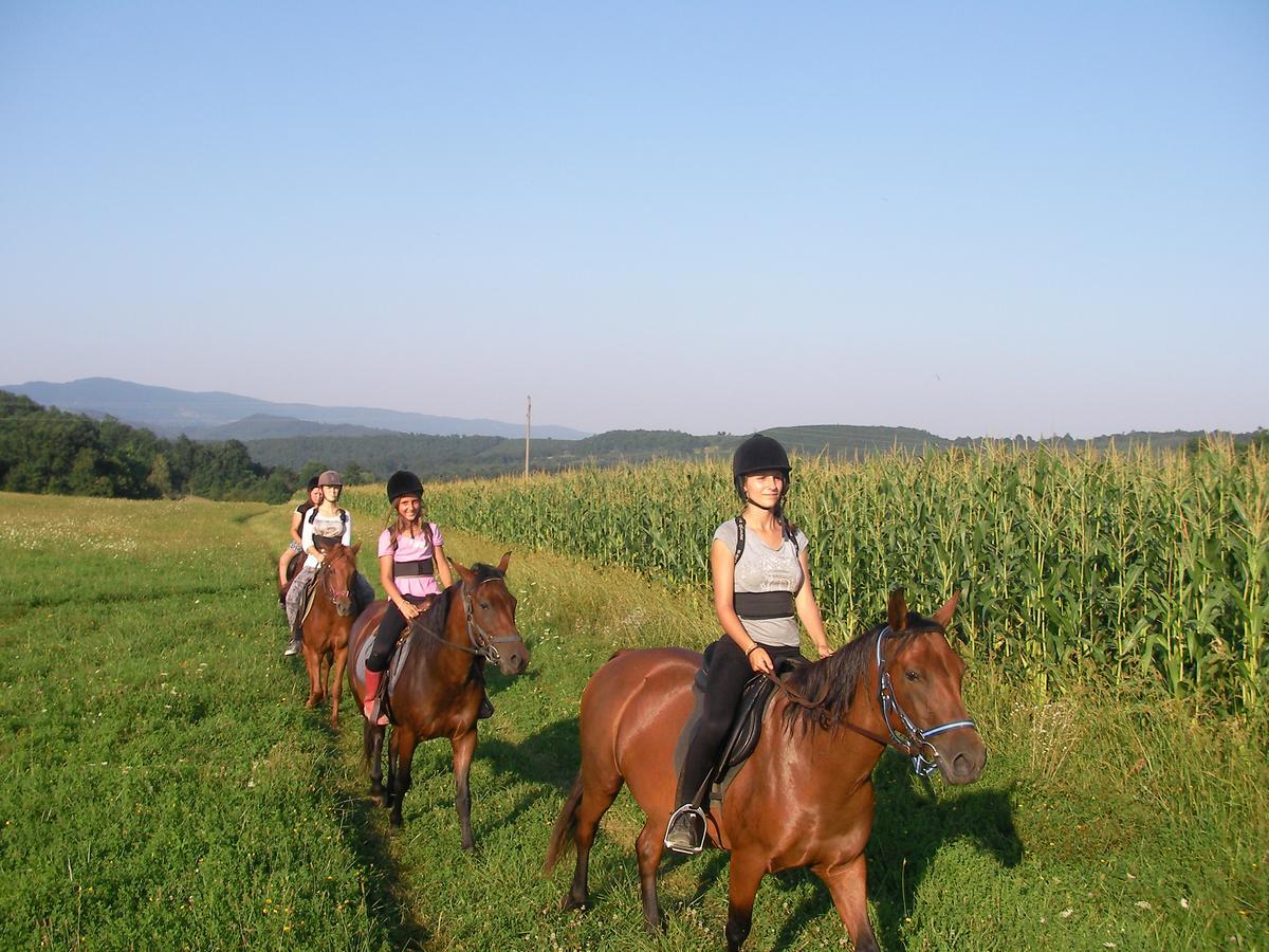 Ecopark Elena Hotel Екстериор снимка