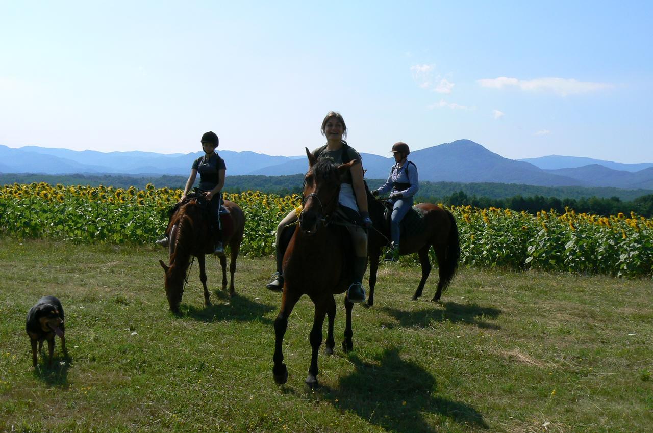 Ecopark Elena Hotel Екстериор снимка