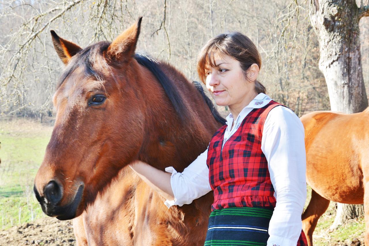 Ecopark Elena Hotel Екстериор снимка